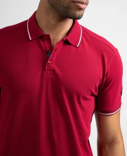 Sale Belvice Homme Polos